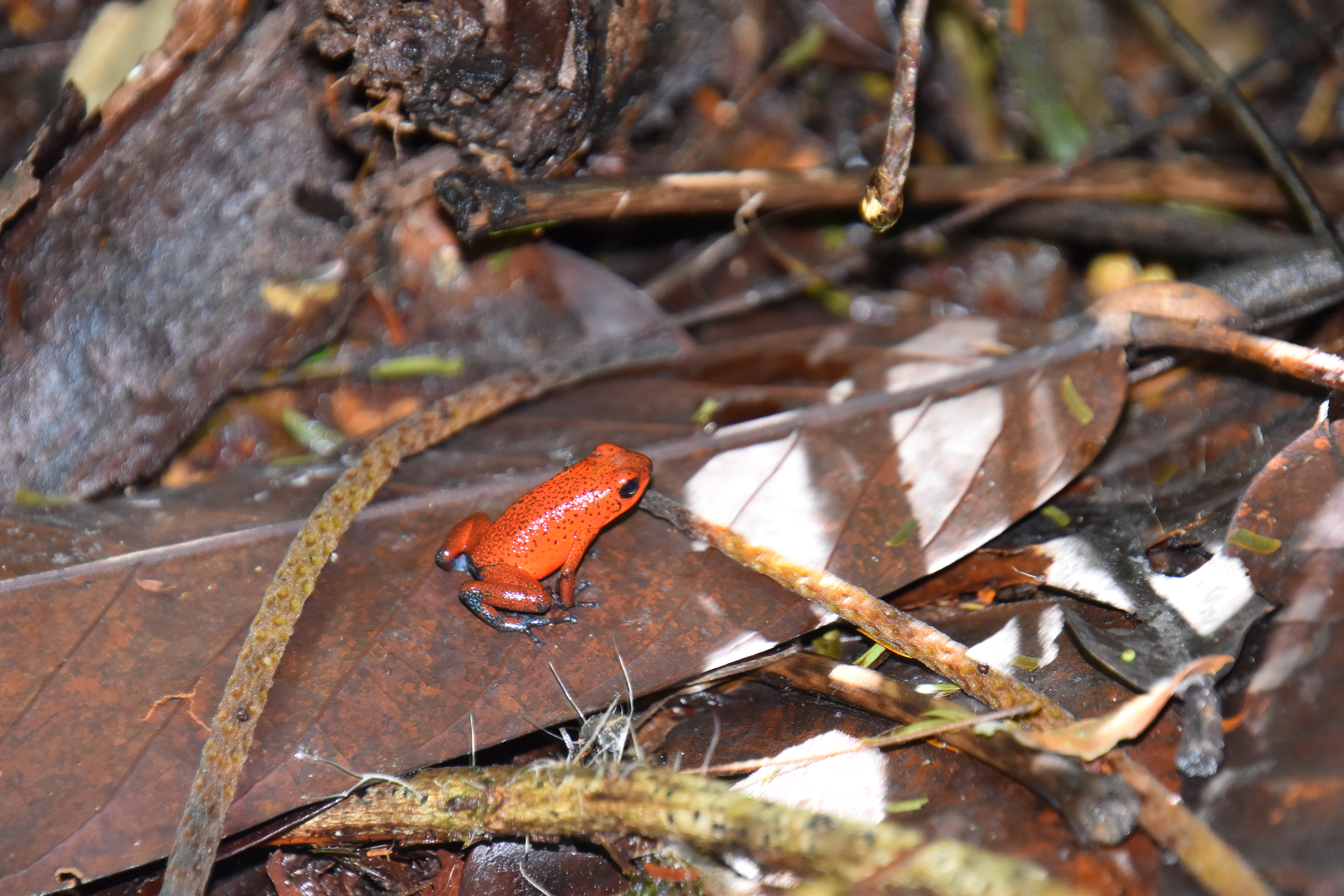 dsc_0833-1751923876.jpg