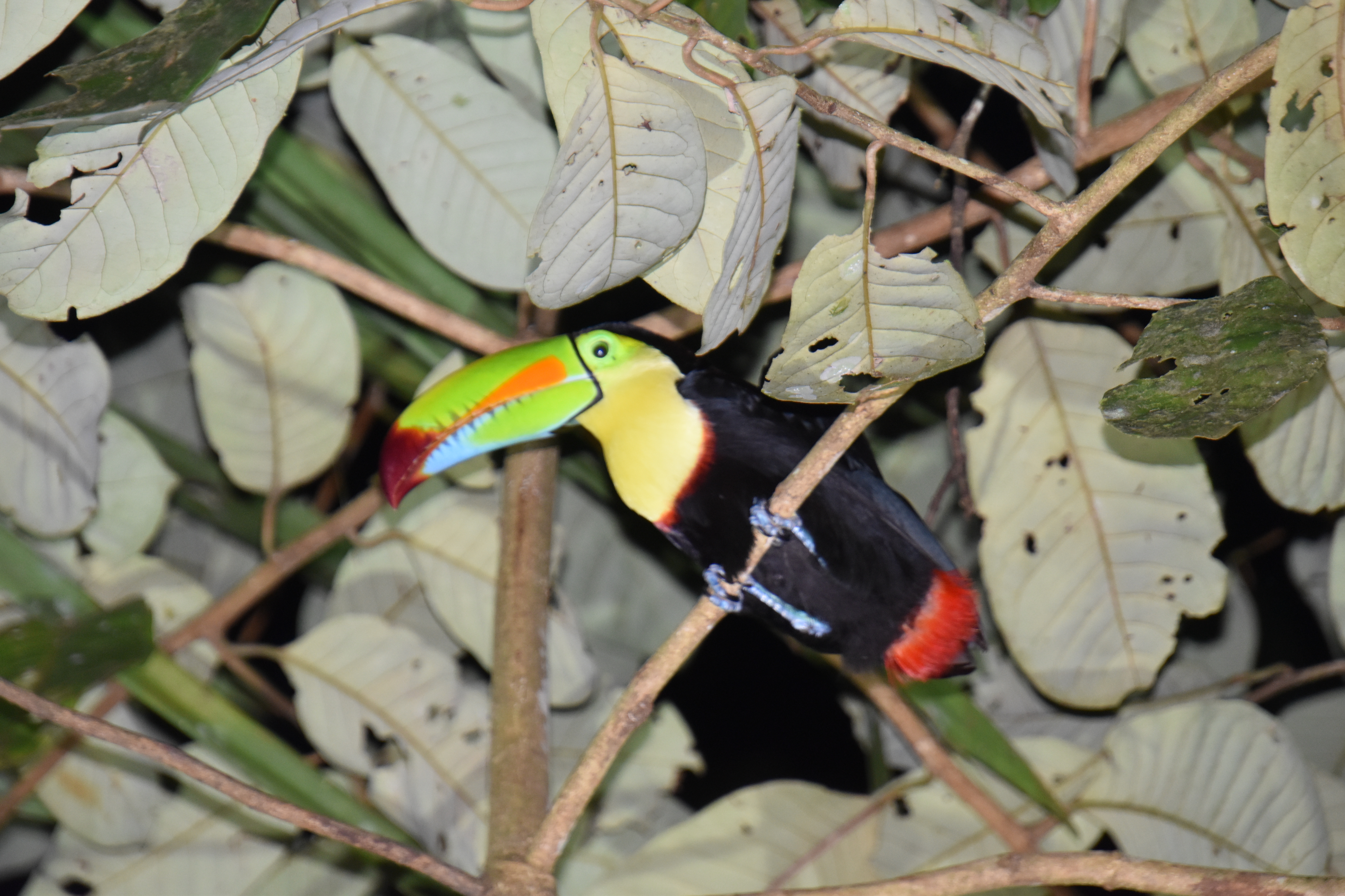 dsc_0913.jpg