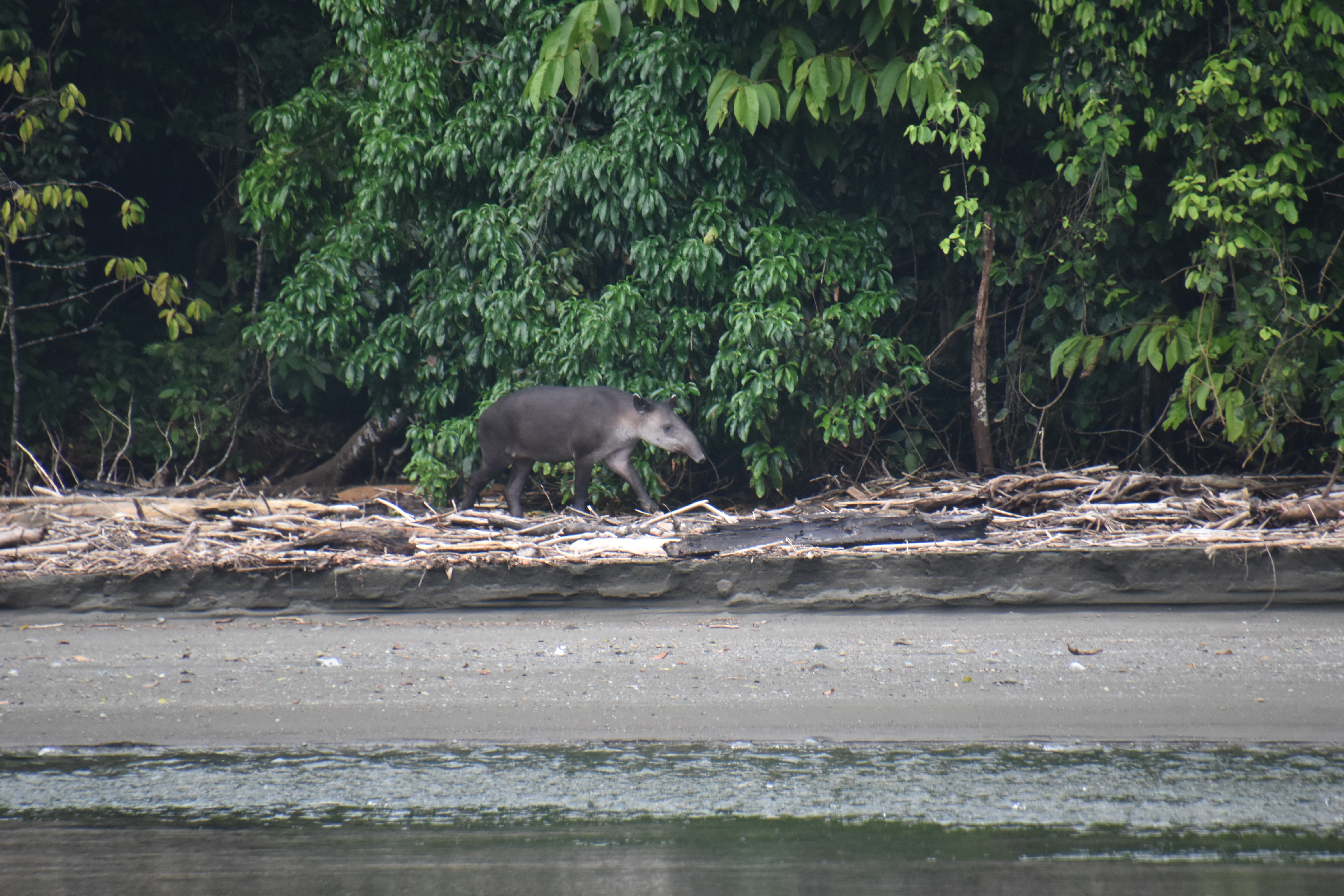 dsc_1097.jpg