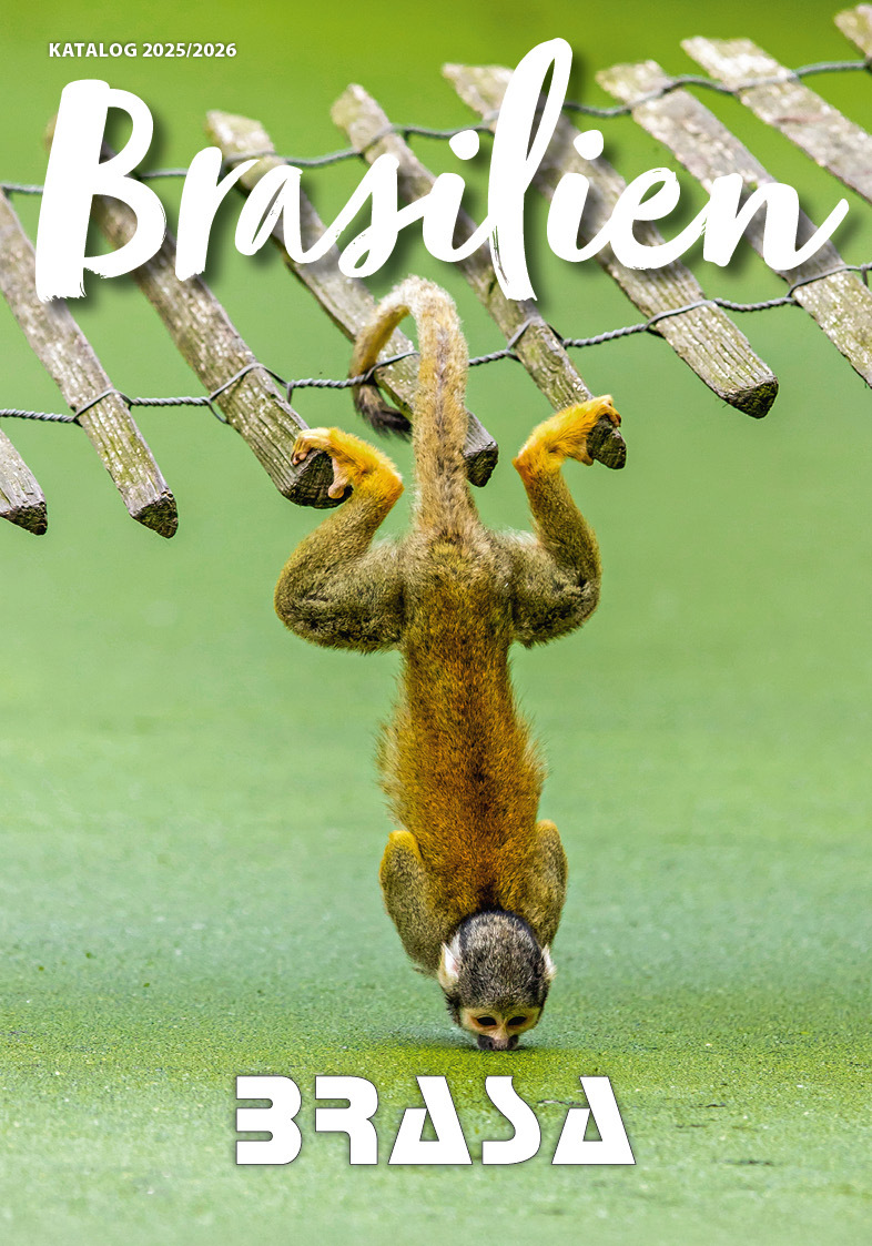 Brasilien-2025-2026