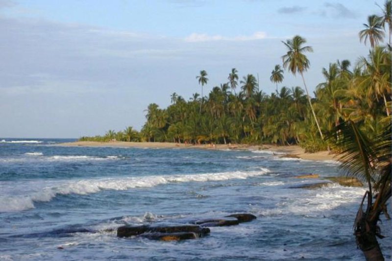 CAHUITA STRAND