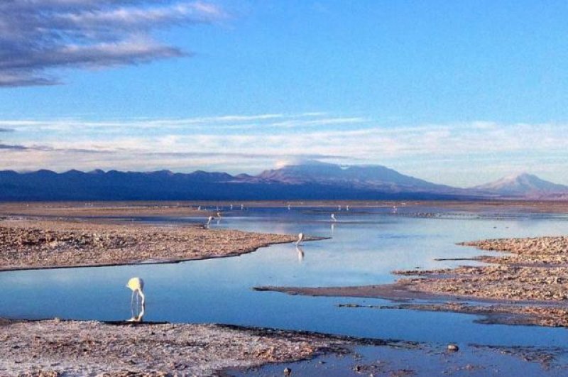 SALAR DE ATACAMA