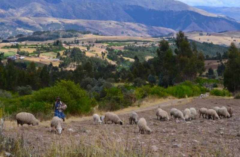 PERU MIETWAGEN COLCA LANDSCHAFT