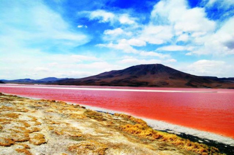 UYUNI LAGUNA COLORADA