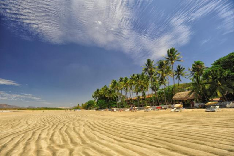 TAMARINDO