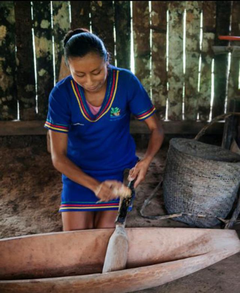 INDIGENA
