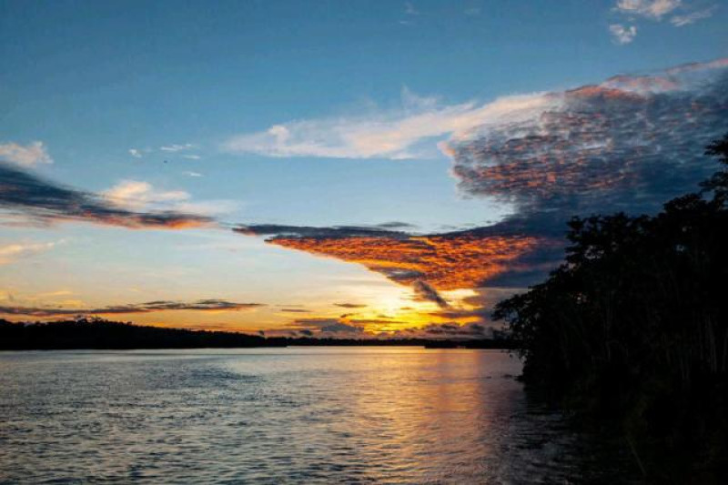 AMAZONAS