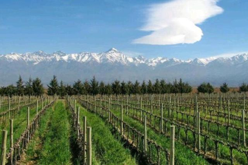 WEINREGION MENDOZA
