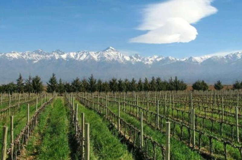 WEINREGION MENDOZA