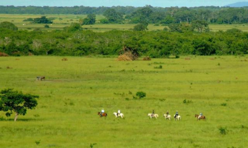 PFERDETOUR PANTANAL