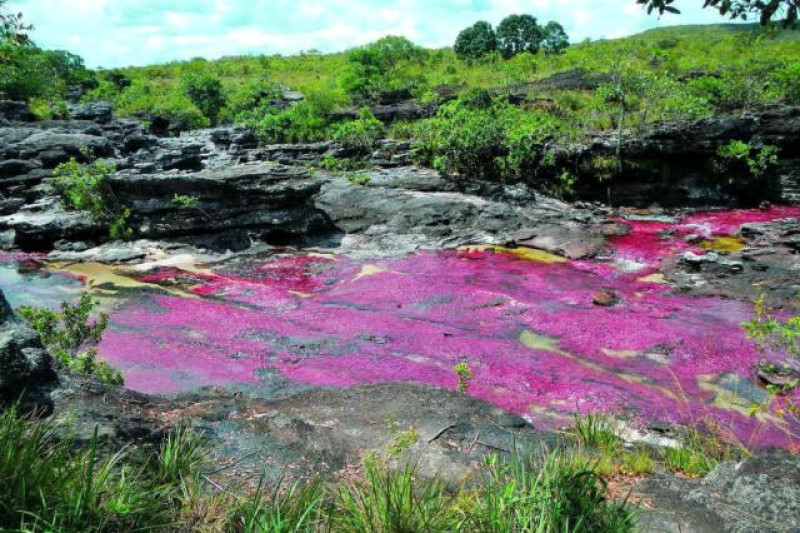 CAÑO CRISTALES