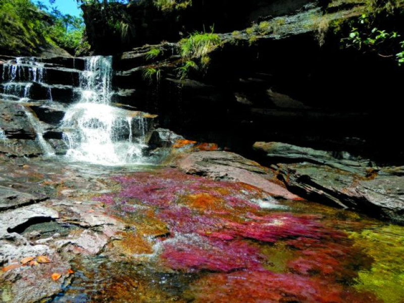 CANO CRISTALES