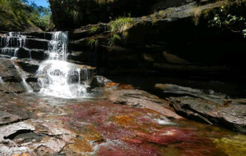 CANO CRISTALES