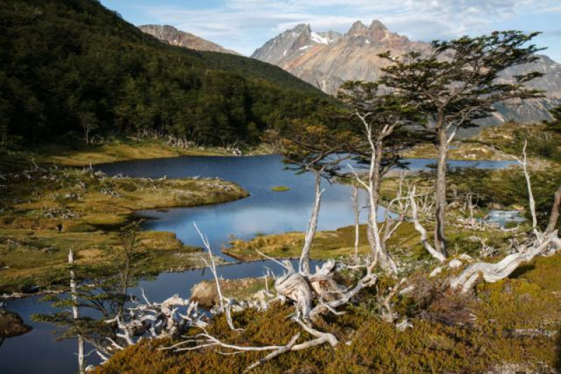 TIERRA DEL FUEGO NP