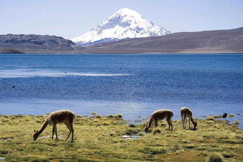LAUCA NATIONALPARK