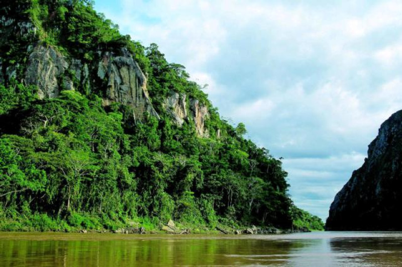 MADIDI