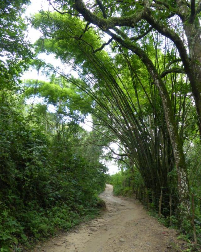 CAMINO A POZO AZUL