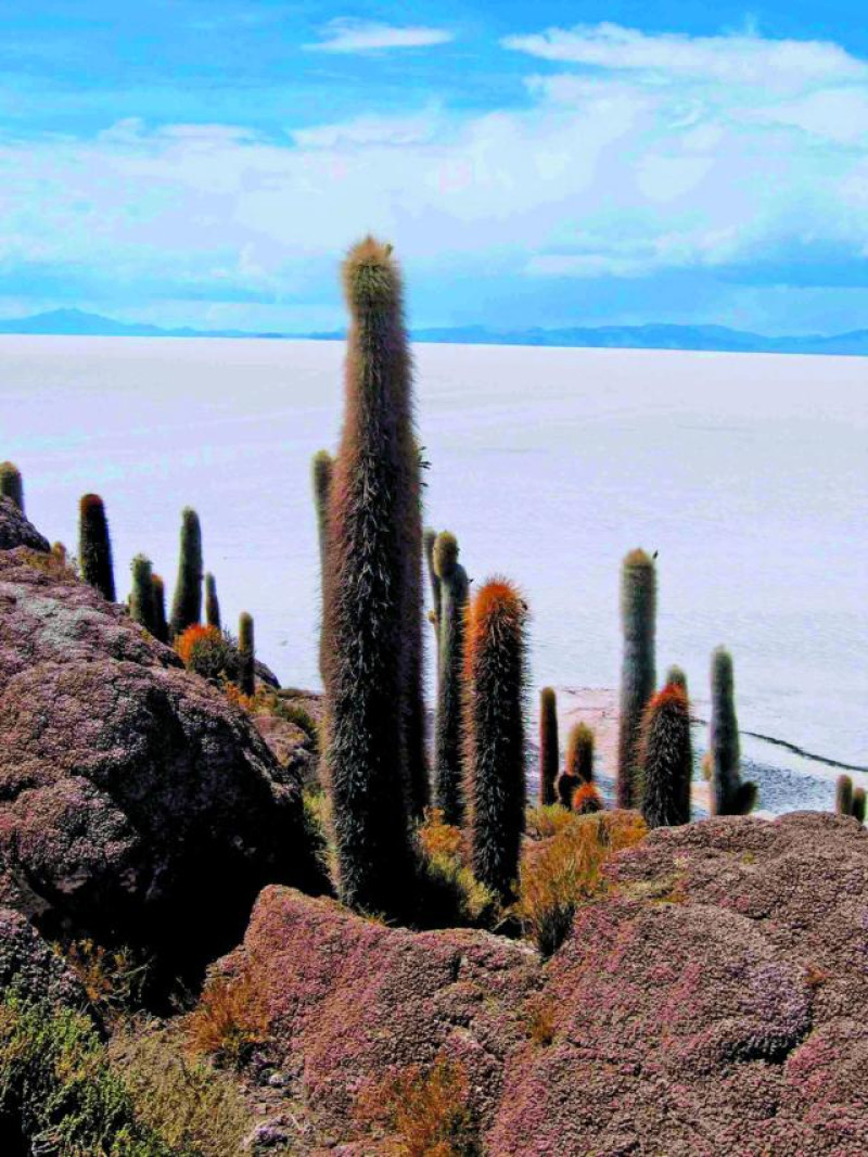 INCAHUASI