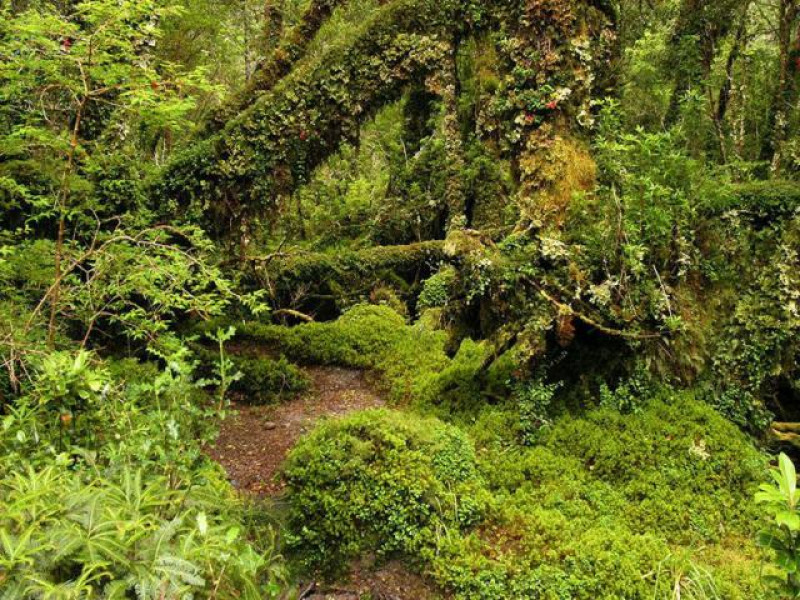 PUYUHUAPI