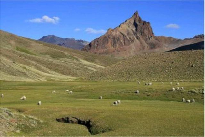 MONTE ZEBALLOS LOS ANTIGUOS ARGENTINA