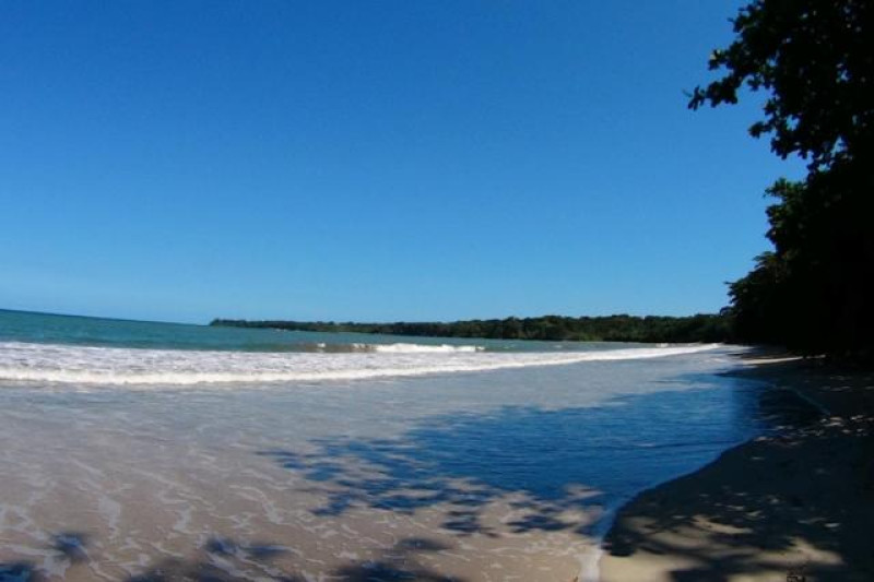 SUIZO LOCO STRAND