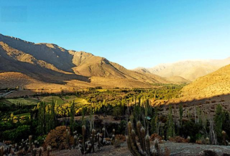 ELQUI TAL