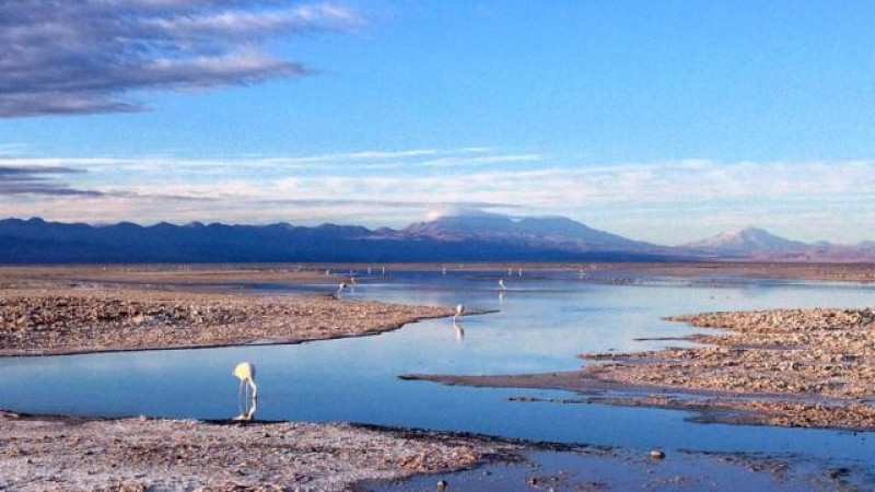 SALAR DE ATACAMA