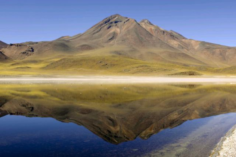 LAGUNA MISCANTI