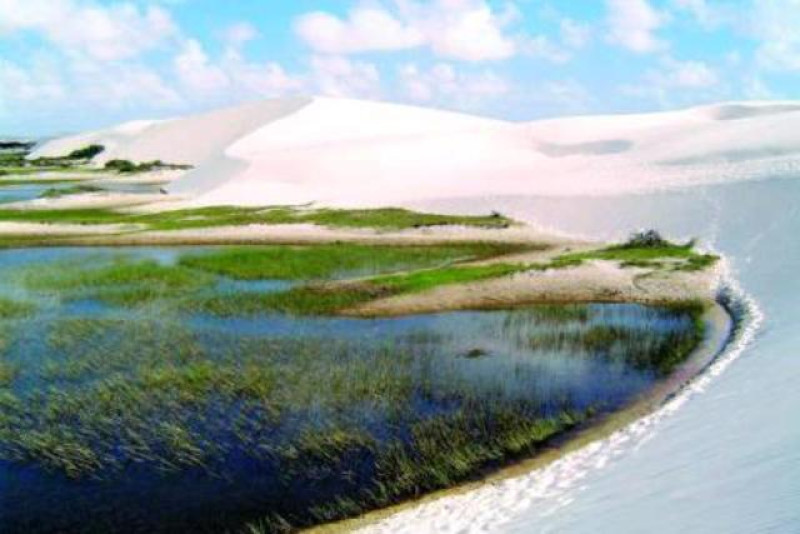 brasilien lençois maranhenses preguiças
