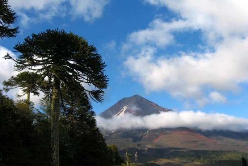 CONGUILLIO PARK