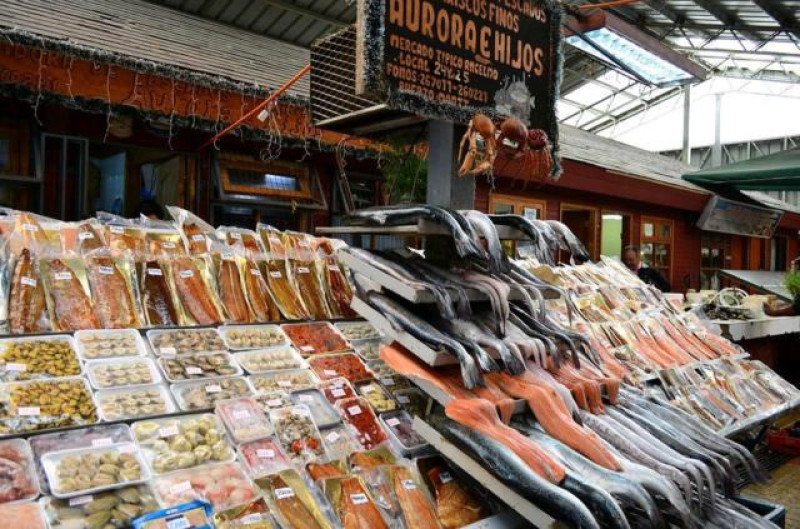 FISCHMARKT PMC