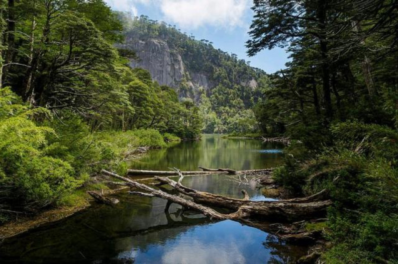 HUERQUEHUE NATIONALPARK