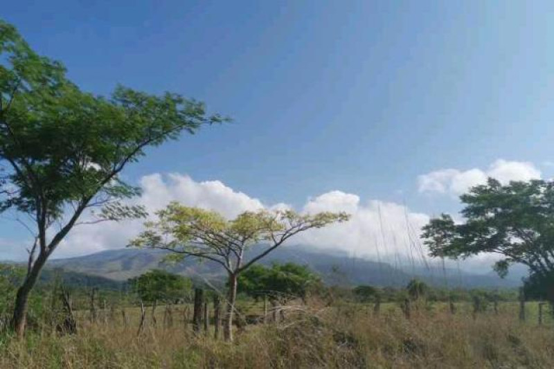 RINCON DE LA VIEJA