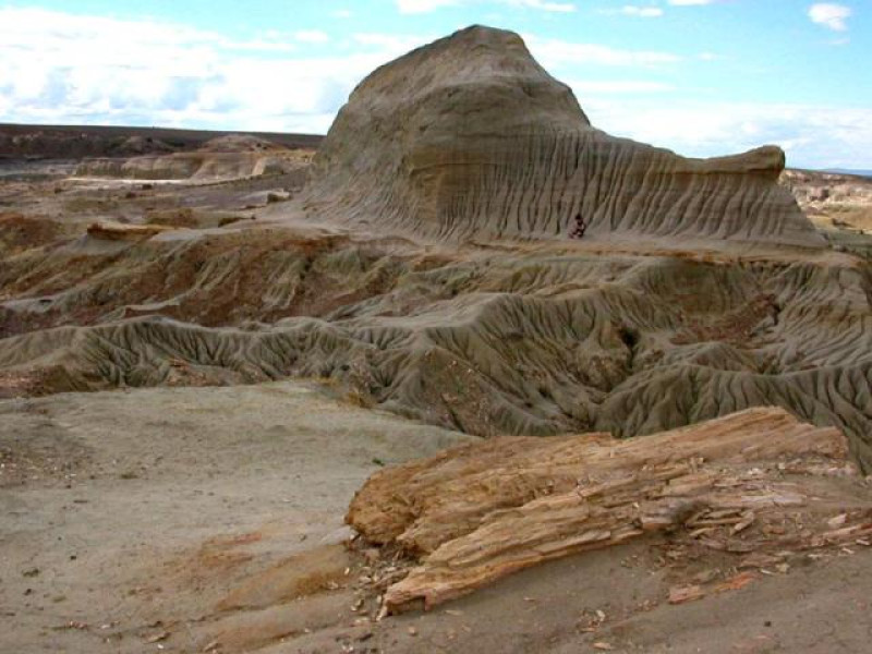 PETRIFIED FOREST