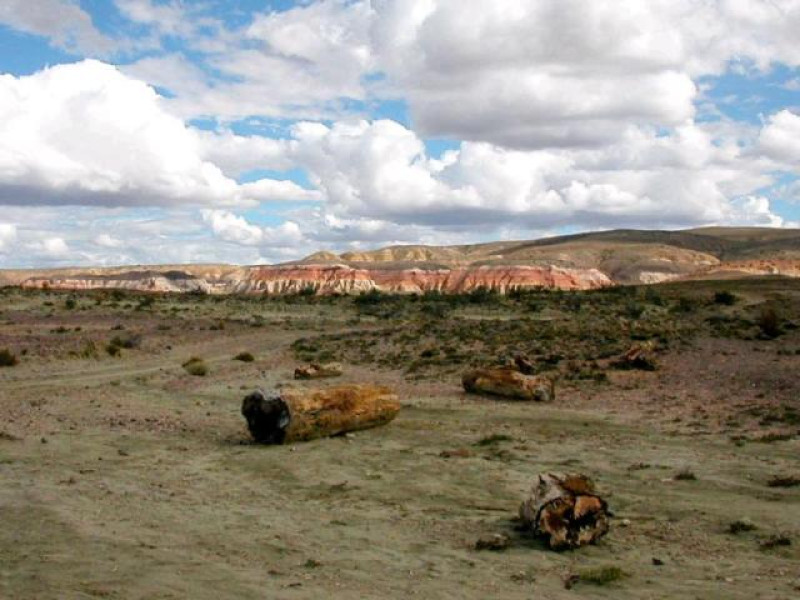 PETRIFIED FOREST