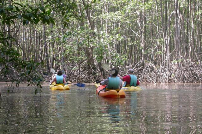 KAYAK DOMINICAL