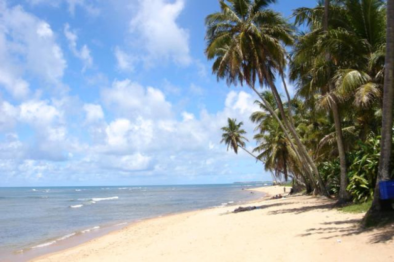 PRAIA DO FORTE