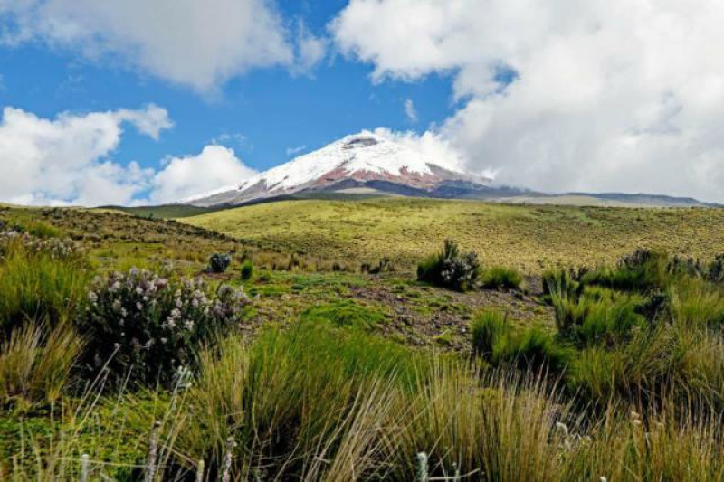 COTOPAXI