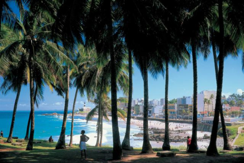 SALVADOR PALMEN STRAND