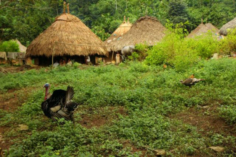 trekking ciudad perdida