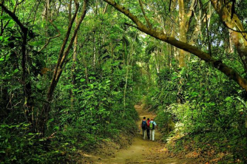 CIUDAD PERDIDA