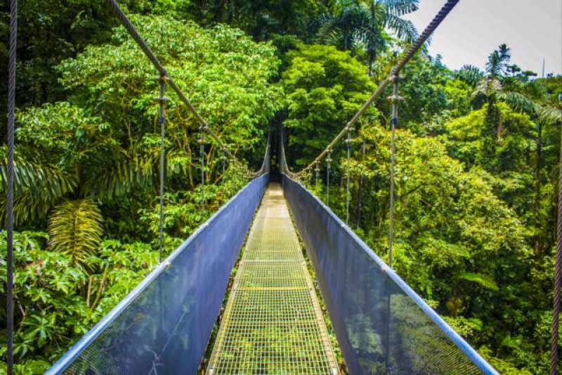 ARENAL HÄNGEBRÜCKEN