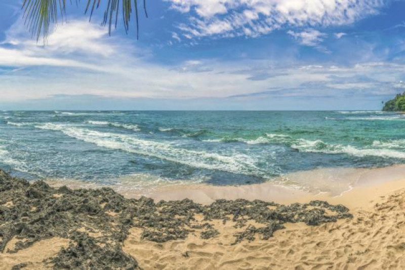 COSTA RICA CAHUITA