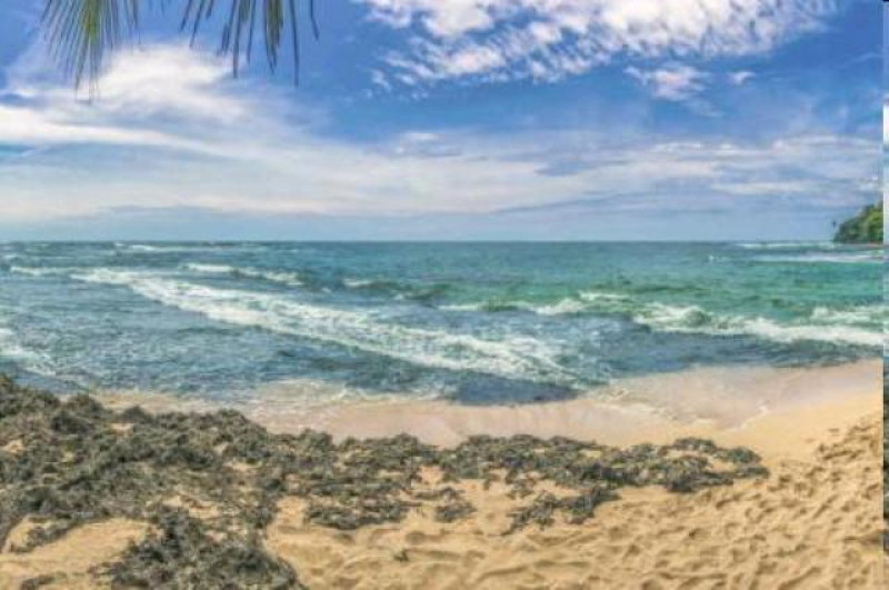 COSTA RICA CAHUITA
