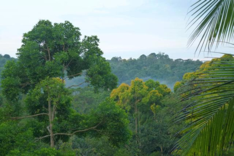 CORCOVADO TREKKING